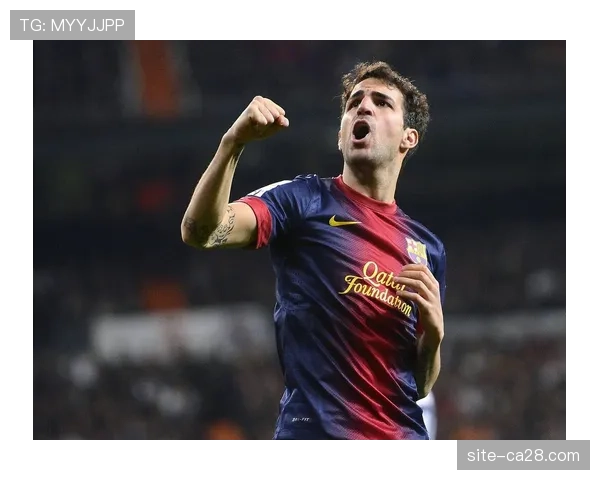 前西班牙国脚法布雷加斯确认赛季末从科莫退役